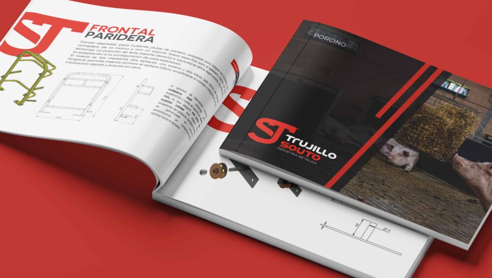 Diseño editorial, catálogo de productos, organización de referencias, identidad visual.